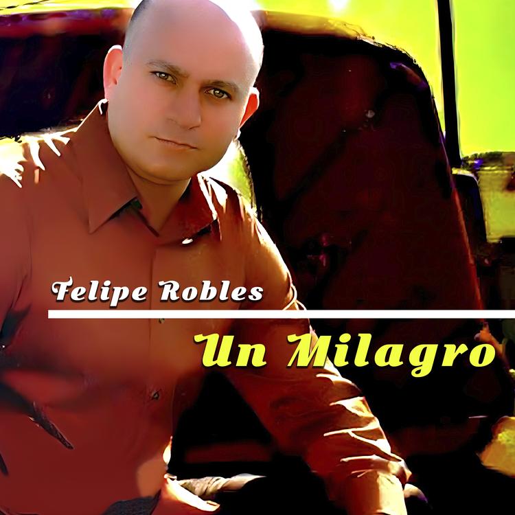 Felipe Robles's avatar image