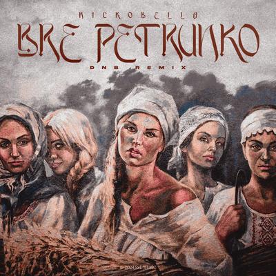 Bre Petrunko (DnB Remix)'s cover