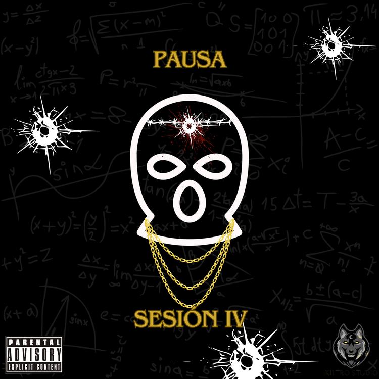 Pausa's avatar image