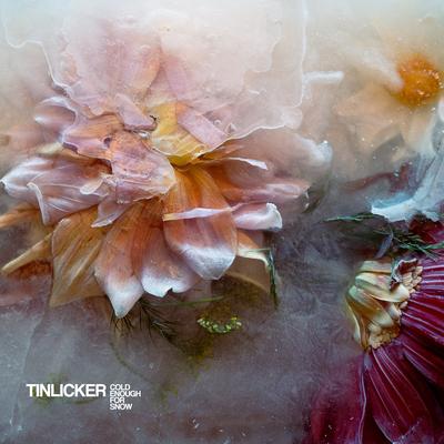 Glasshouse (feat. Julia Church) By Tinlicker, Julia Church's cover