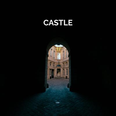 Castle's cover