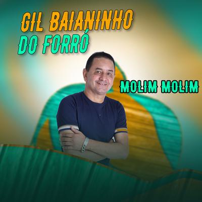 Molim, Molim By Gil Baianinho do Forró's cover