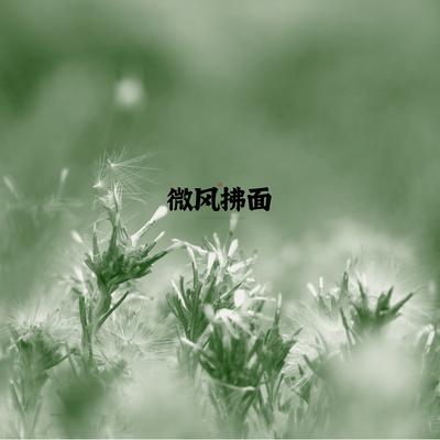 夜空星辰 (古筝)'s cover