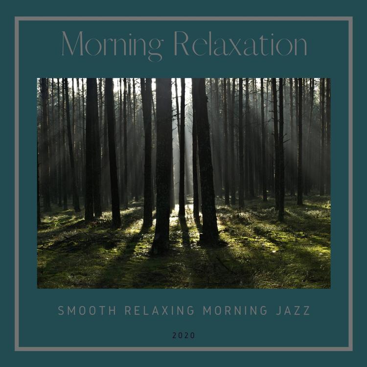 Morning Relaxation's avatar image
