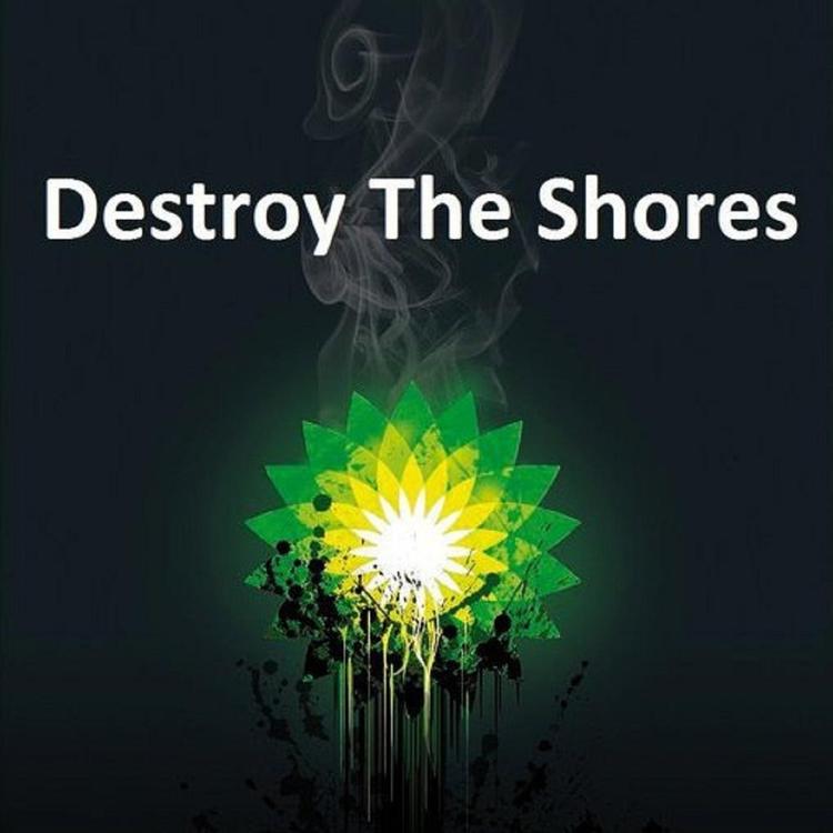 Destroy The Shores's avatar image