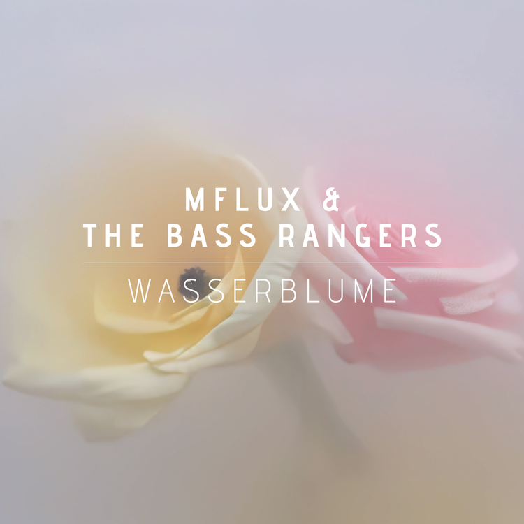 Mflux & The Bass Rangers's avatar image