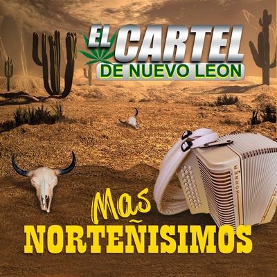 Más Norteñisimos's cover