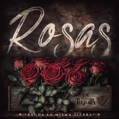 Rosas's cover