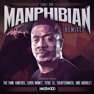 Guns up feat. Damian Marley & Stephen Marley (The Funk Hunters Remix) By Chali 2na, Stephen Marley, The Funk Hunters's cover