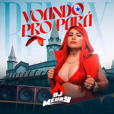 Voando pro Pará (Remix) By Dj meury's cover