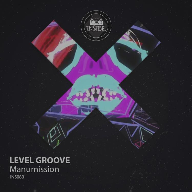 Level Groove's avatar image