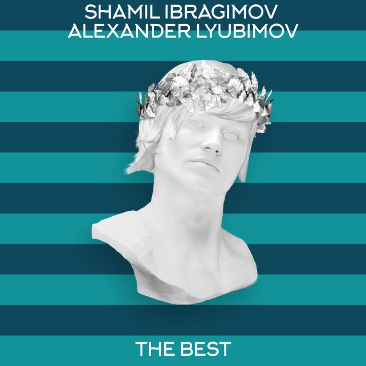 Shamil Ibragimov's avatar image