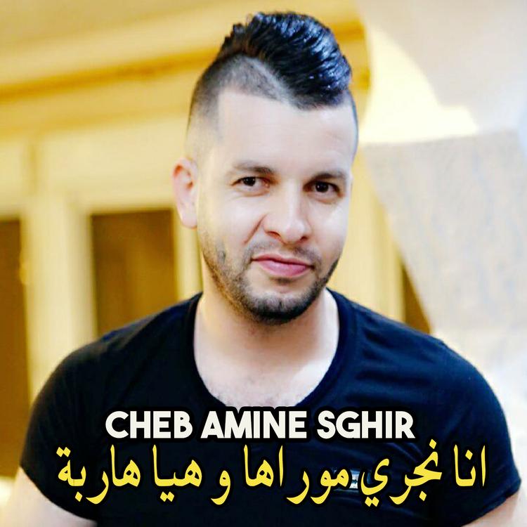 Cheb Amine Sghir's avatar image