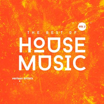 Never House (Master Version)'s cover