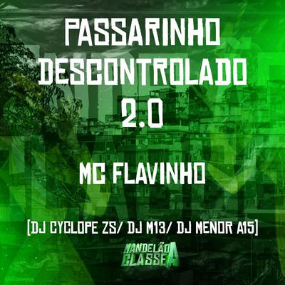 Passarinho Descontrolado 2.0's cover