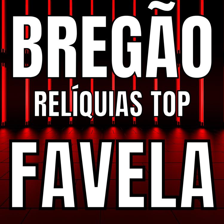 BREGÃO RELÍQUIAS TOP's avatar image