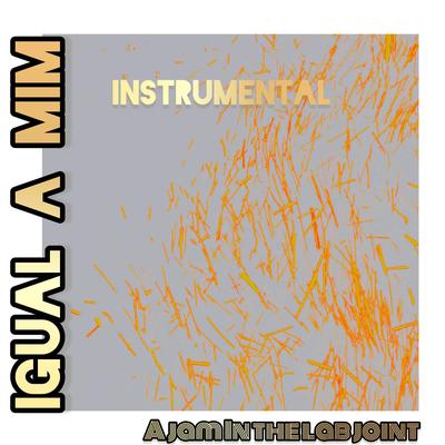 Igual a mim (Instrumental)'s cover