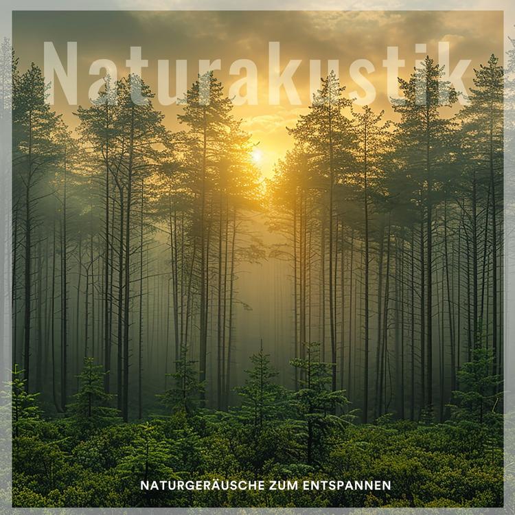 Naturakustik's avatar image