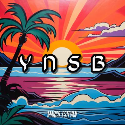 YNSB's cover