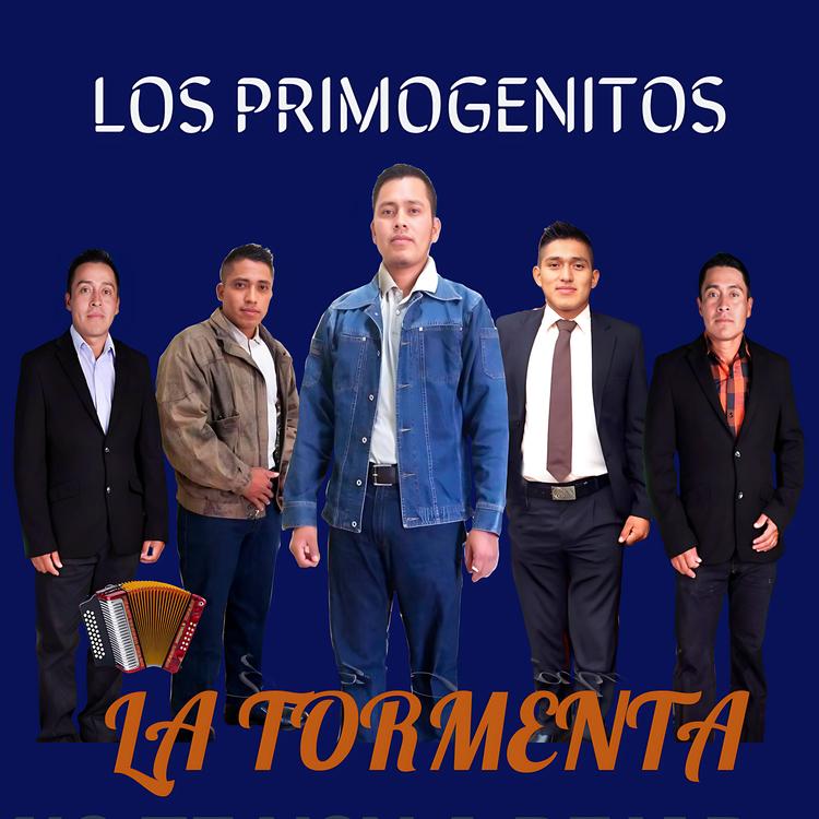 Los Primogenitos de Paso Ancho's avatar image