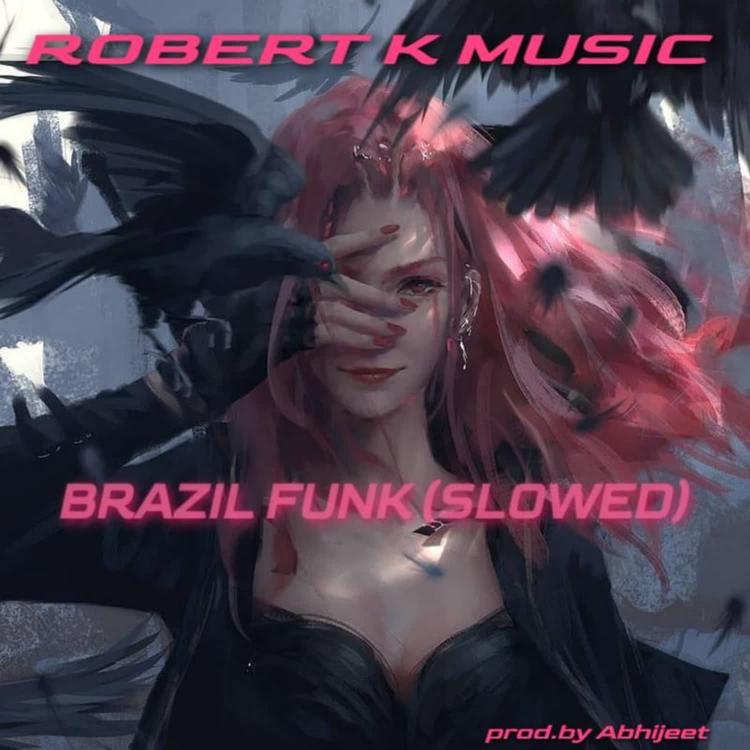 ROBERT K MUSIC's avatar image