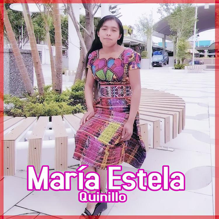 María Estela Quinillo's avatar image