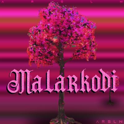 Malarkodi's cover