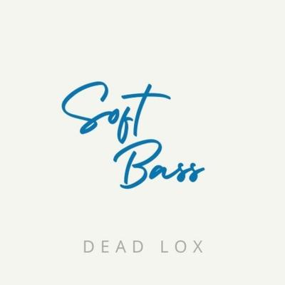 SOFT BASS (Lofi)'s cover