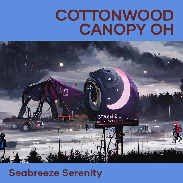 Seabreeze Serenity's avatar image