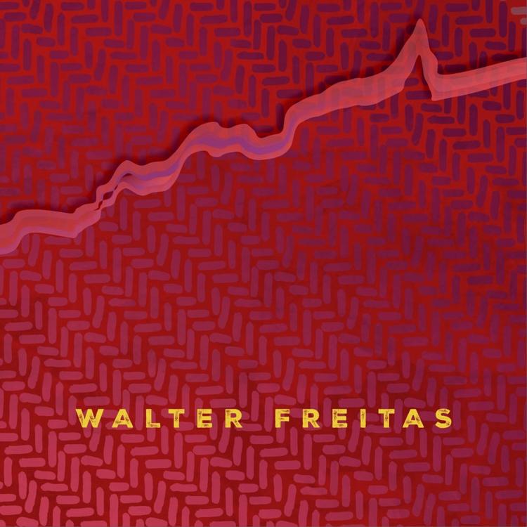 Walter Freitas's avatar image