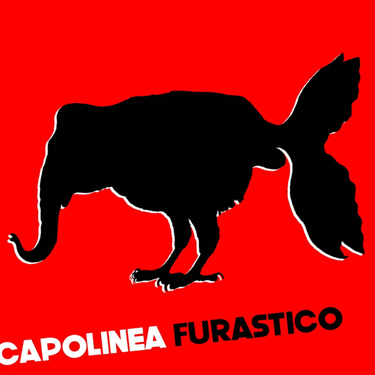 Capolinea's avatar image