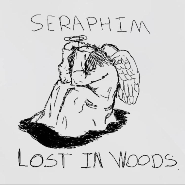 Lost in woods's avatar image