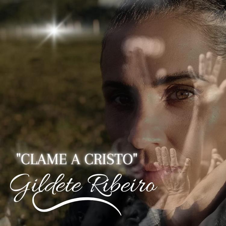 Gildete Ribeiro's avatar image