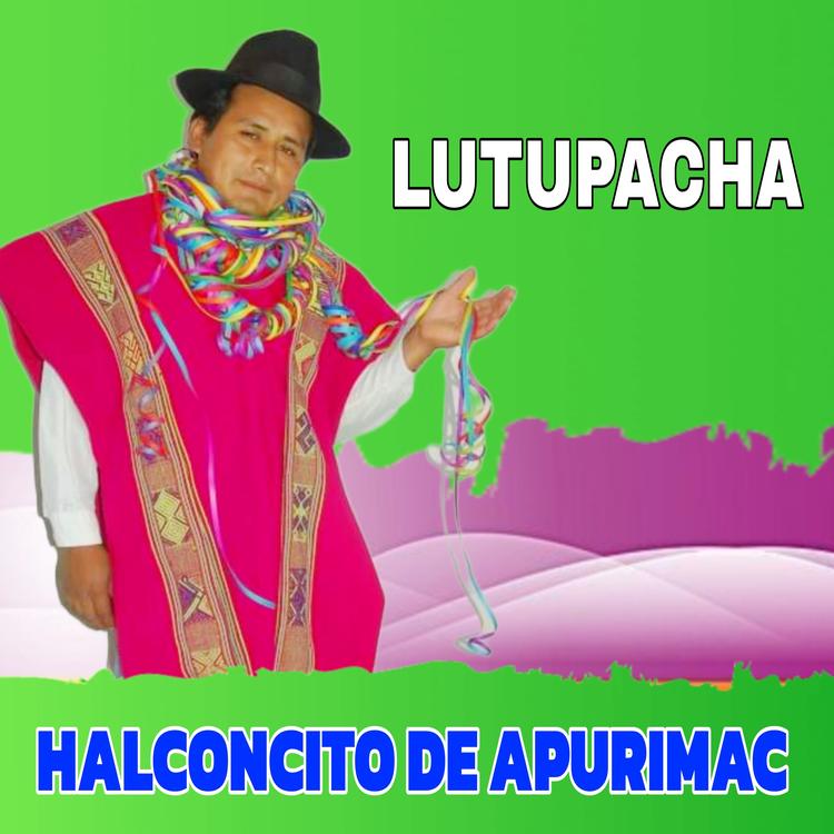 Halconcito de Apurimac's avatar image