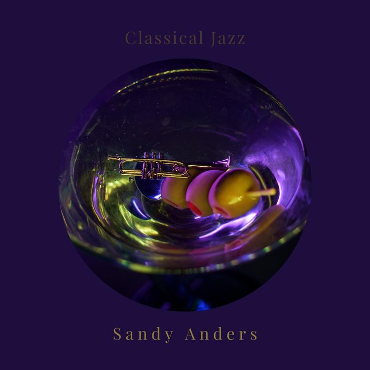 Sandy Anders's avatar image