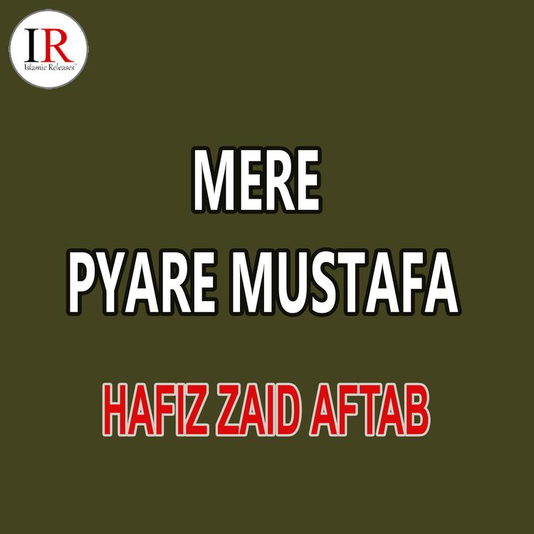 Hafiz Zaid Aftab's avatar image