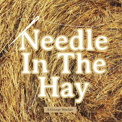 Needle In The Hay's cover