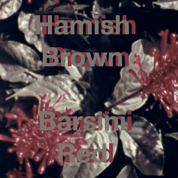 Hamish Brown's avatar image