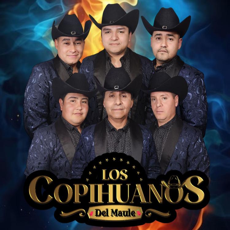 Los Copihuanos Del Maule's avatar image