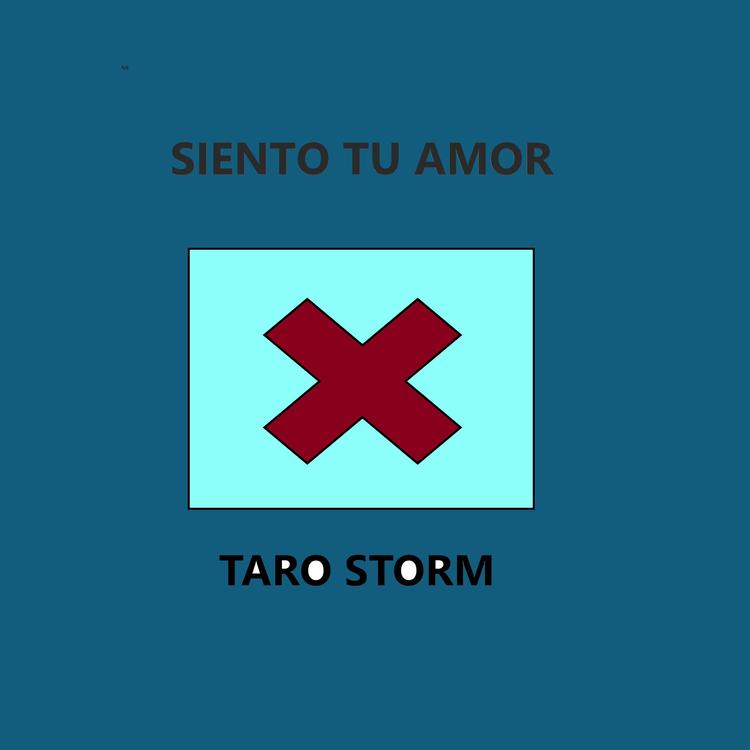 Taro Storm's avatar image