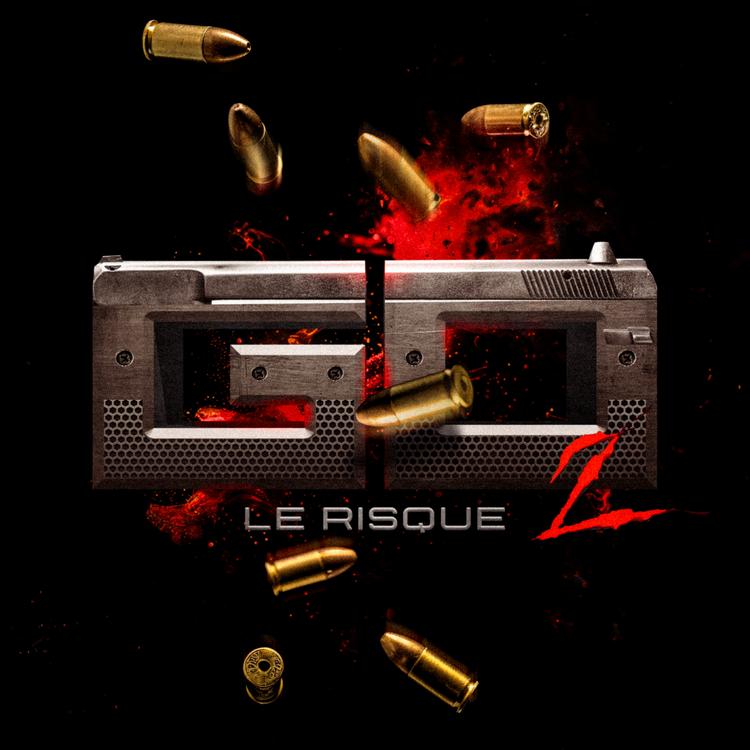 Le Risque's avatar image