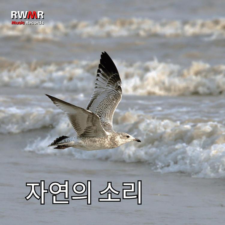 RW 바다와 숲's avatar image