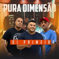 Pura Dimensão's avatar cover