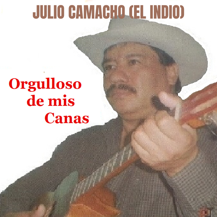 Julio Camacho "El Indio"'s avatar image