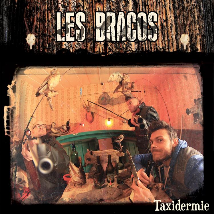 LES BRACOS's avatar image