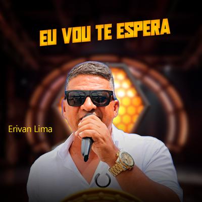 Eu Vou Te Espera's cover