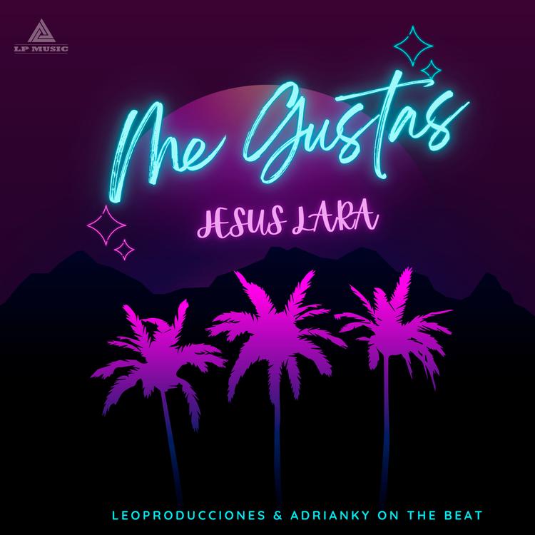 Jesús Lara's avatar image