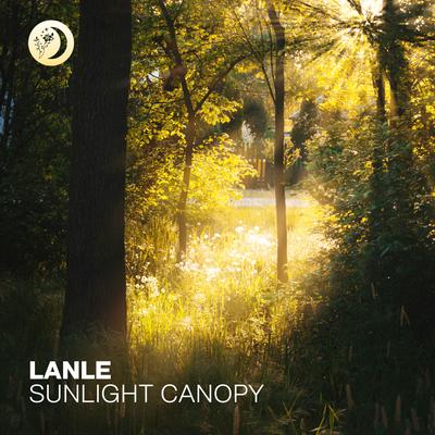 Sunlight Canopy By Lanle's cover