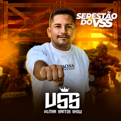 Serestão do VSS's cover