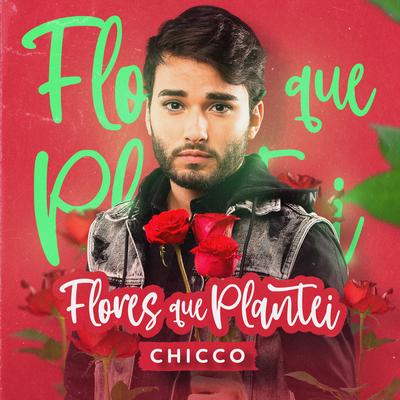 Flores que Plantei By Chicco's cover